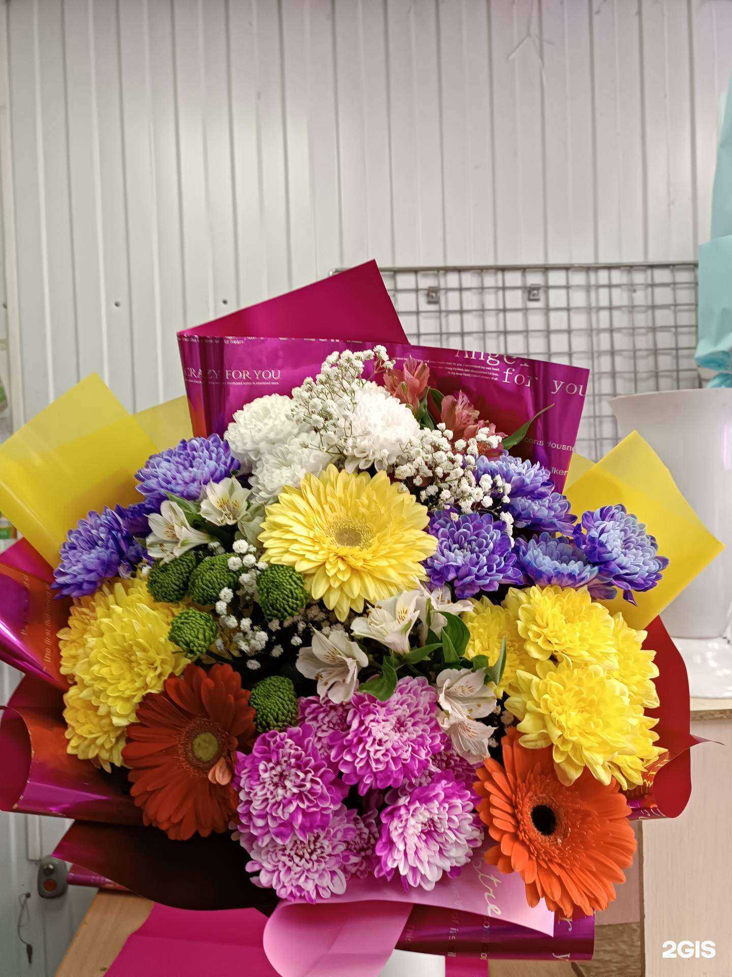 Отзывы на компанию Версилия в г. Красноярск c фото