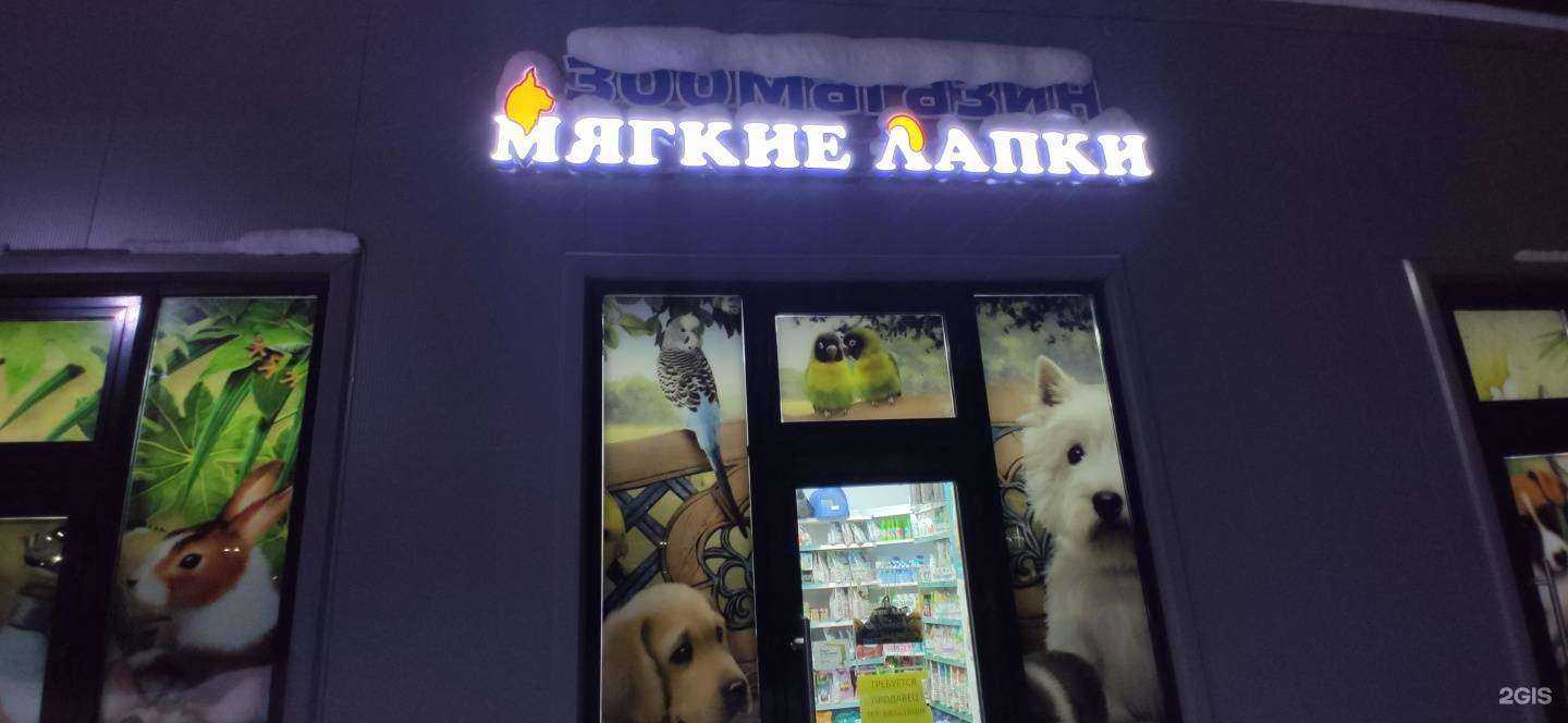 Отзывы на компанию Мягкие лапки в г. Ярославль c фото