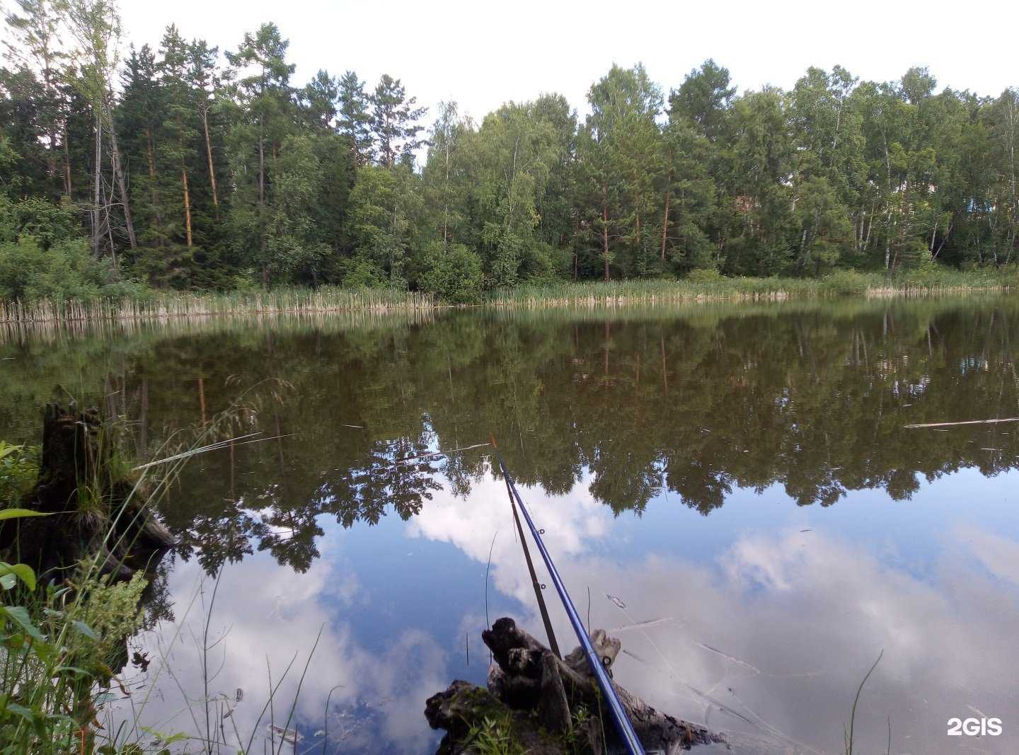 Отзывы на компанию Баня в Калягино в г. Красноярск c фото