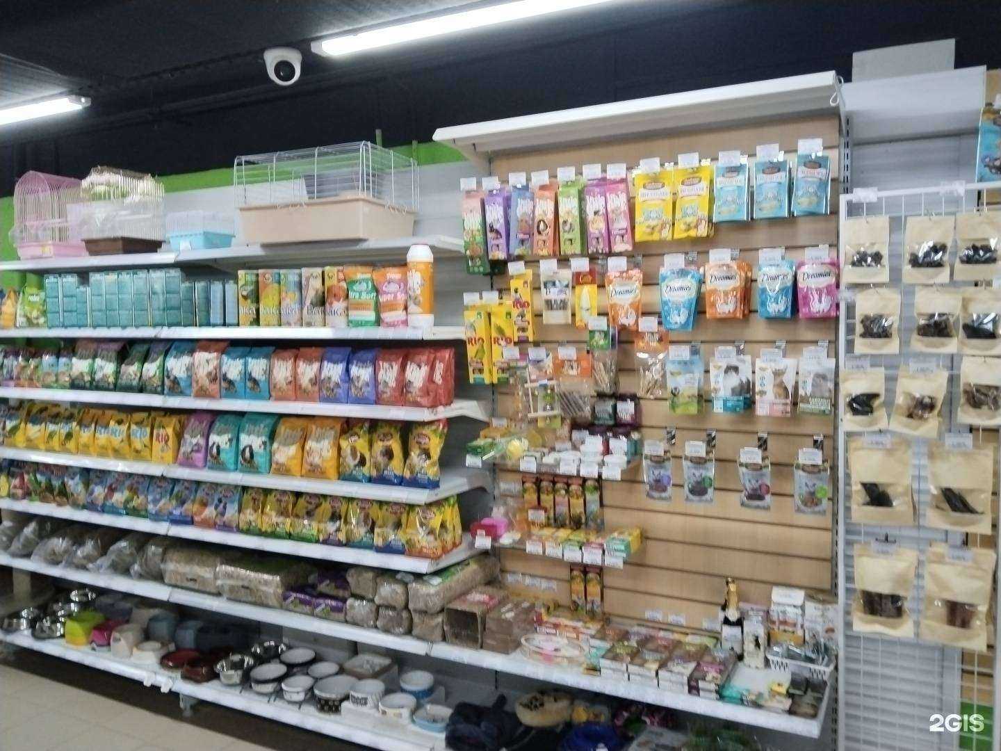 Отзывы на компанию Хвостики в Люберцах c фото