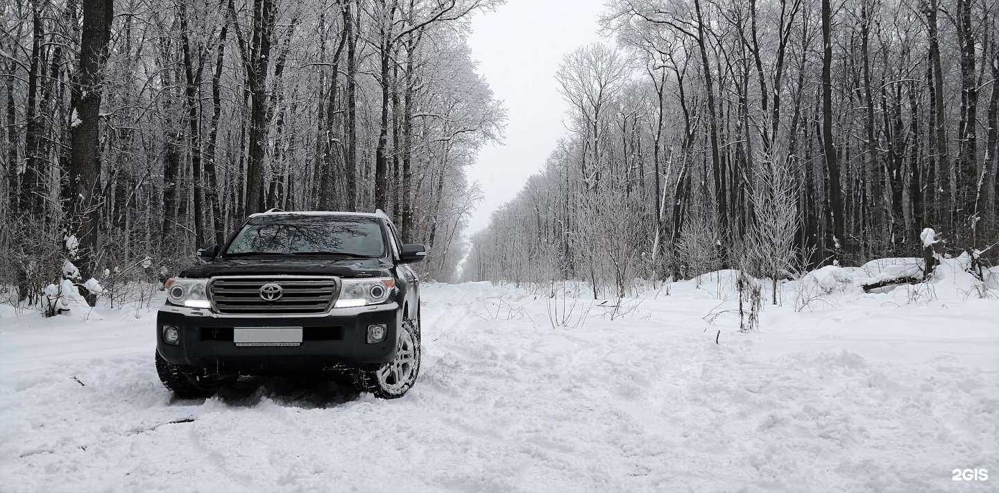 Отзывы на компанию Автолайн в г. Бийск c фото