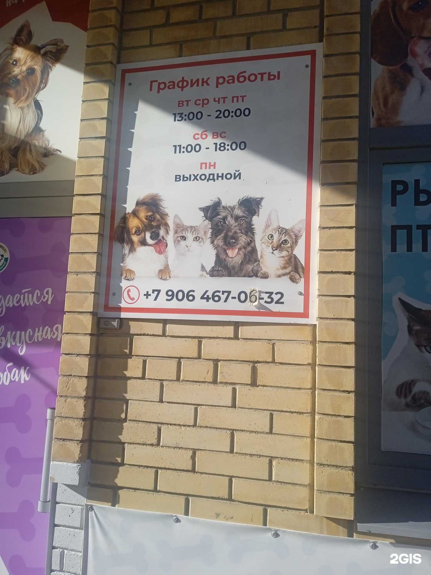 Отзывы на компанию Собачья радость в Ставрополе c фото