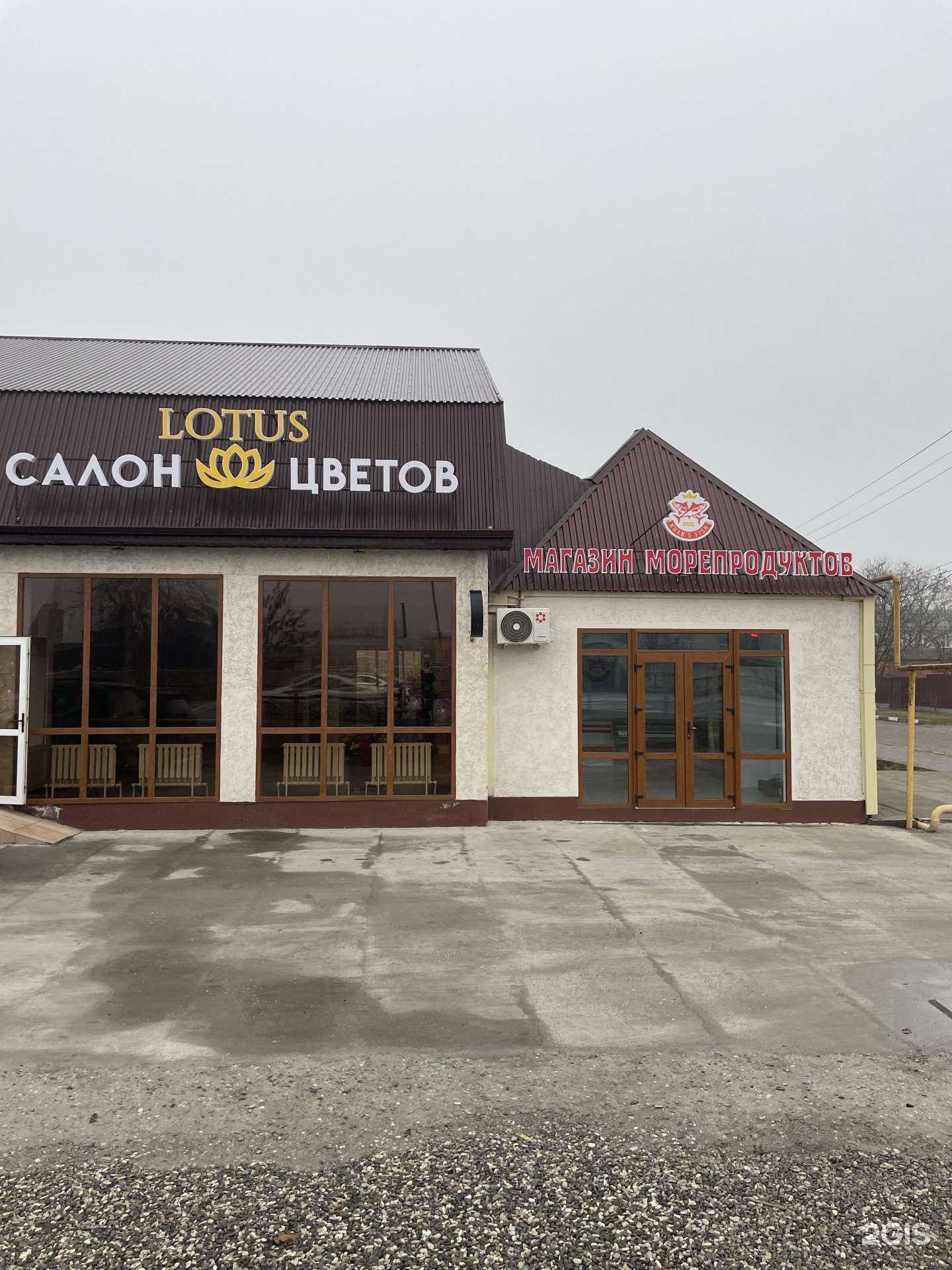 Отзывы на компанию Lotus в г. Грозный c фото