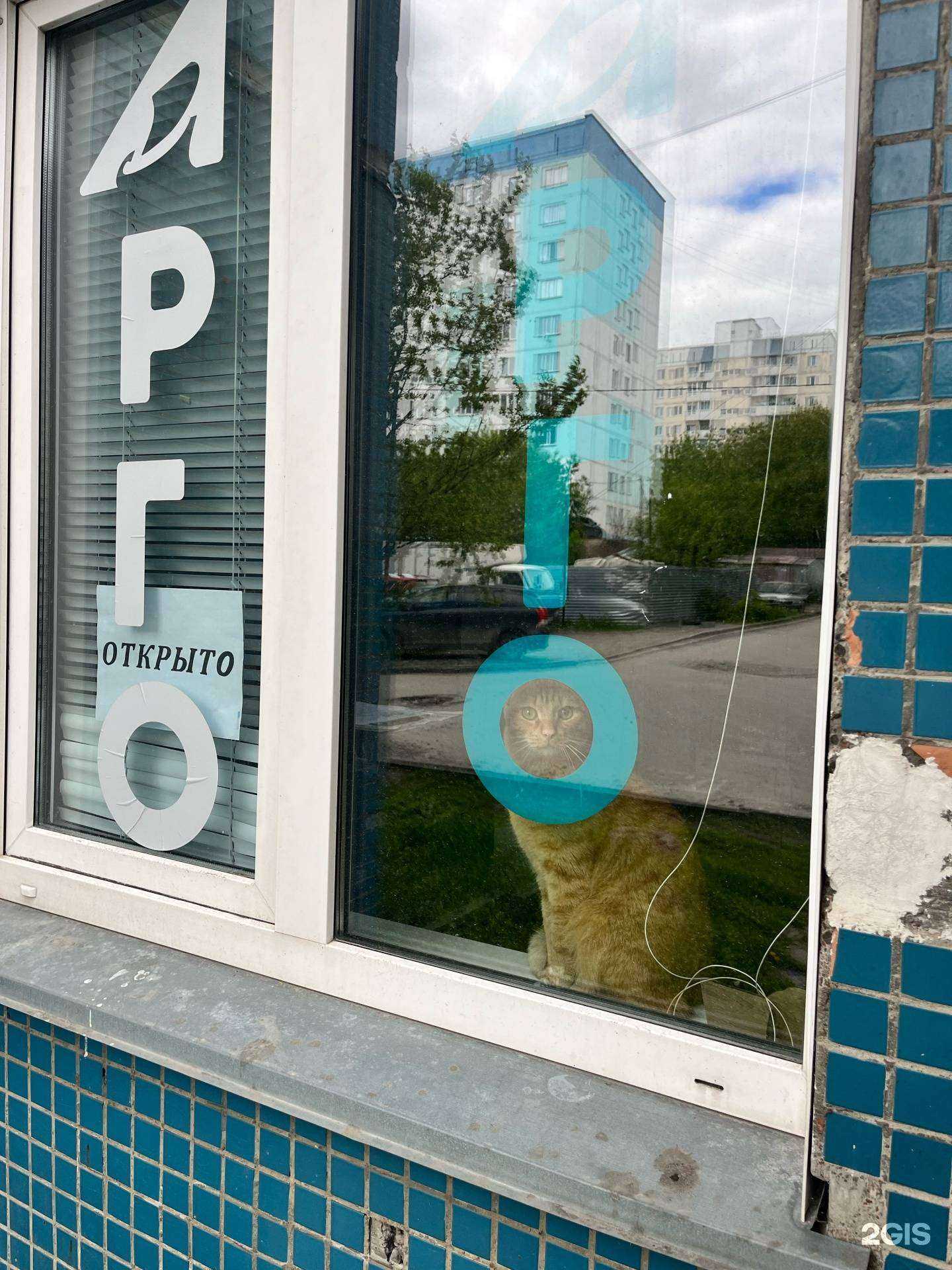 Отзывы на компанию Арго в г. Новосибирск c фото