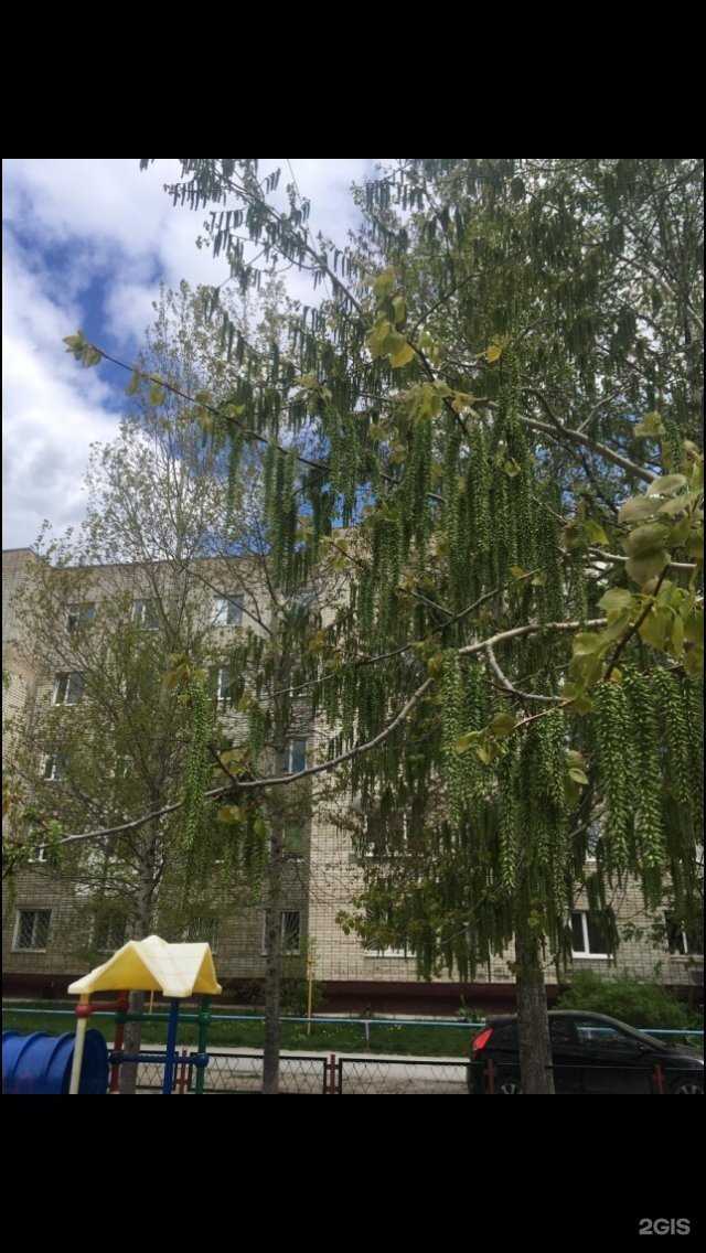 Отзывы на компанию Зоомаркет в Нижневартовске c фото - фотография 2 из 2