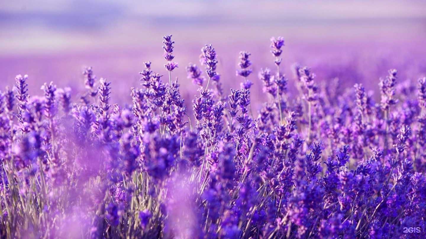 Отзывы на компанию Магазин домашнего текстиля в г. Краснодар c фото