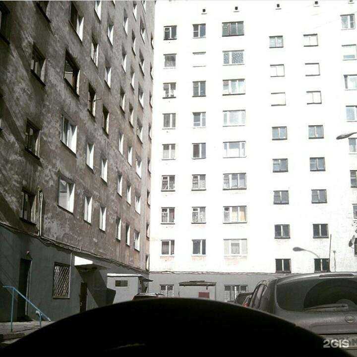 Отзывы на компанию Зоосфера в Мурманске c фото - фотография 2 из 2