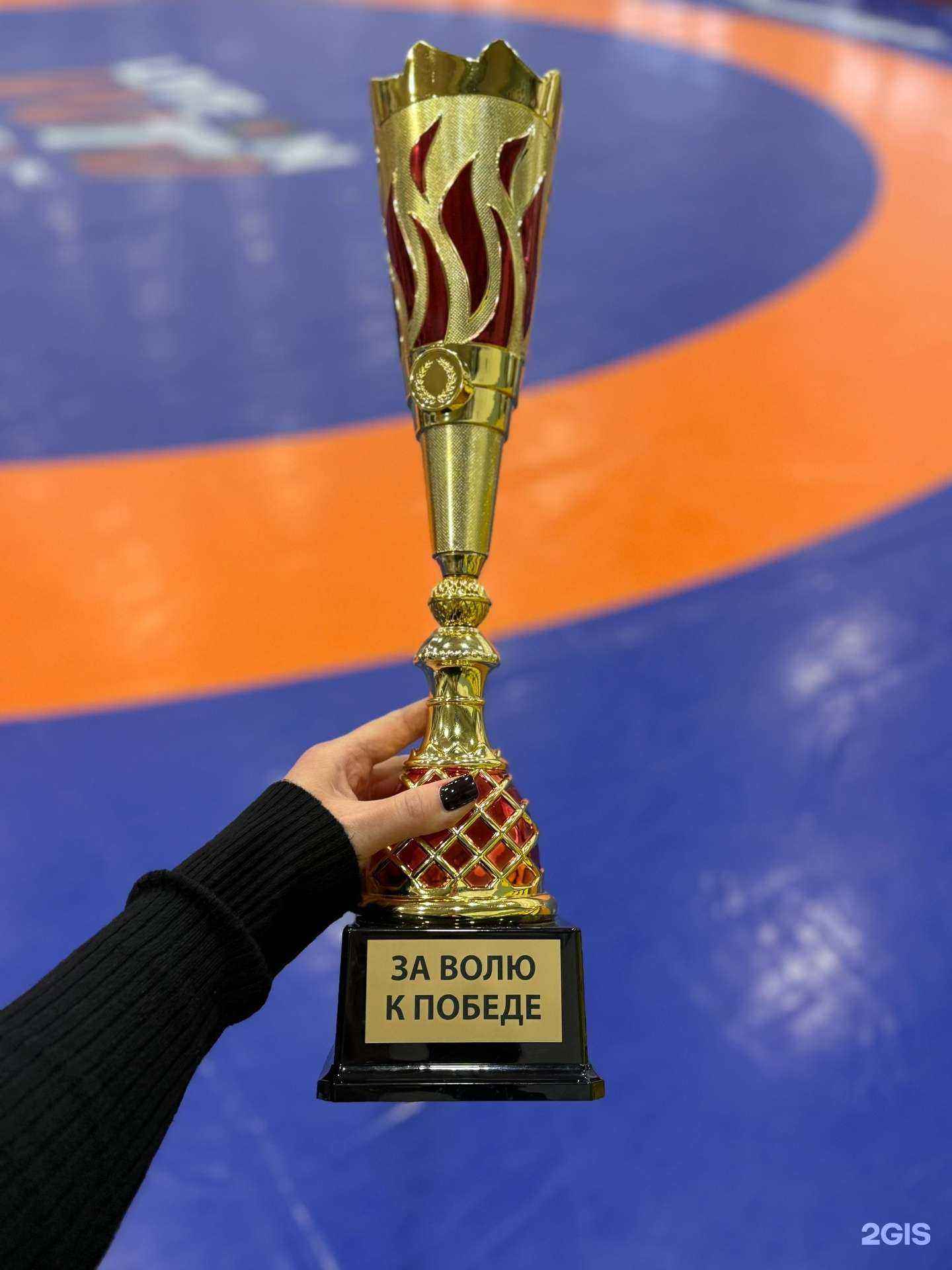 Отзывы на компанию Слава в Красноярске c фото