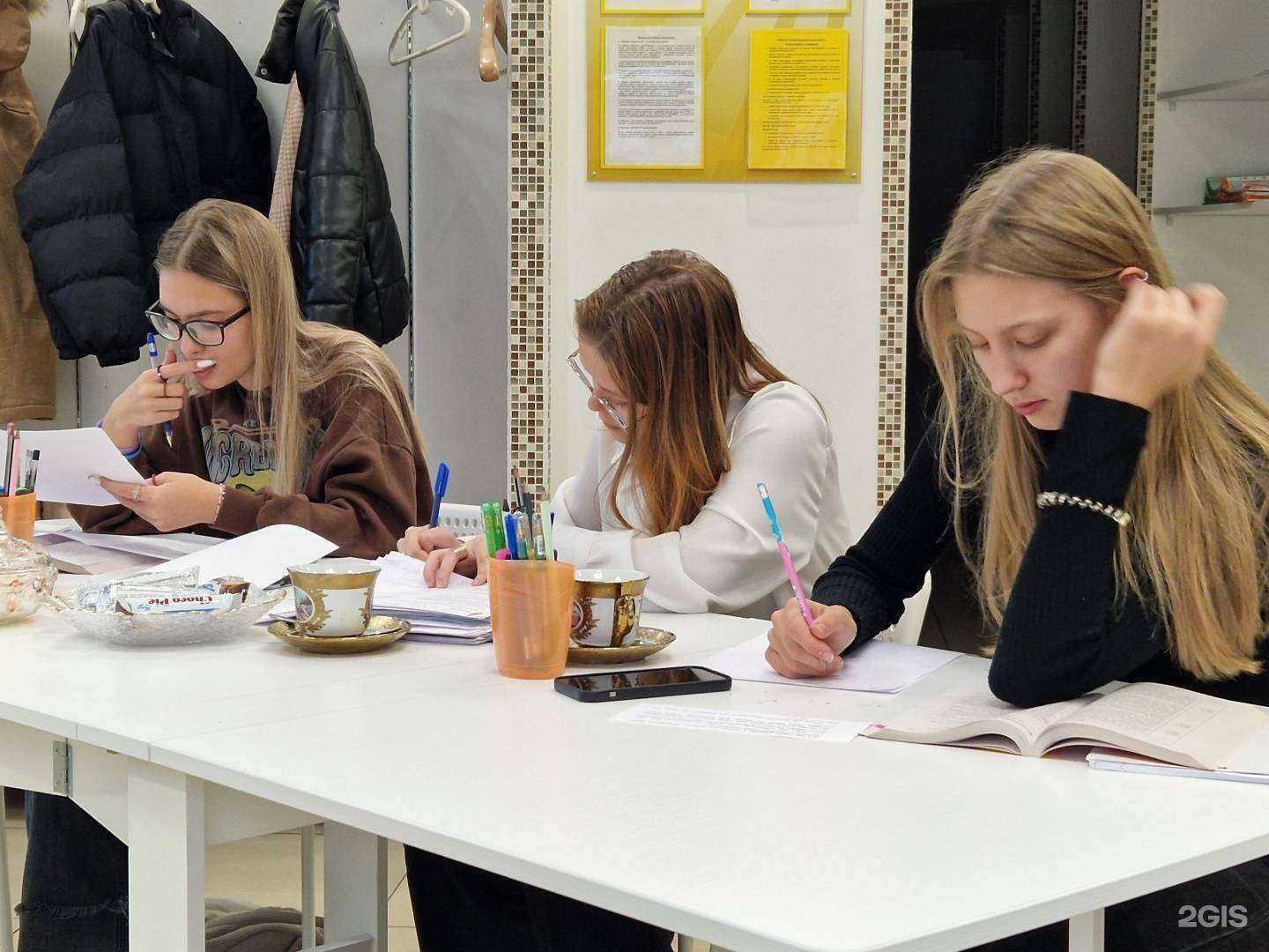 Отзывы на компанию Репетитор+ в г. Елизово c фото