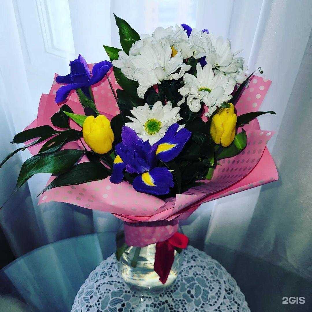 Отзывы на компанию Matrix в Сургуте c фото