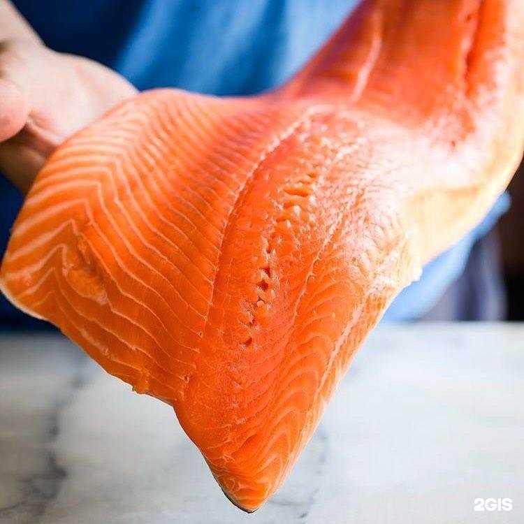 Отзывы на компанию Masfish в г. Новосибирск c фото