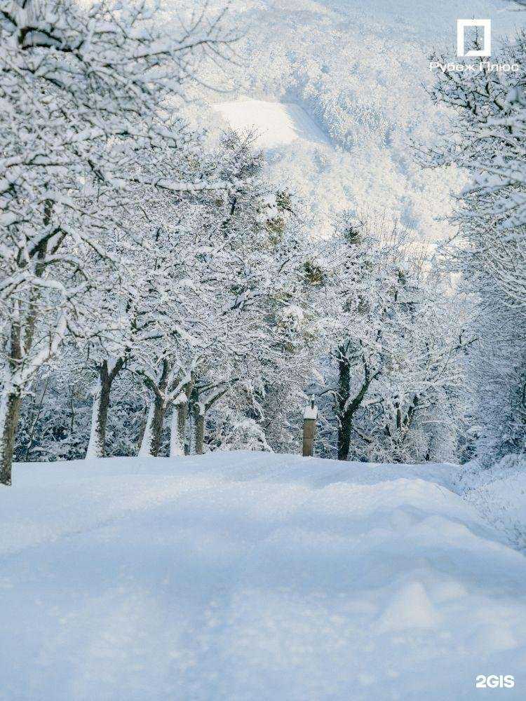 Отзывы на компанию Рубеж плюс в г. Химки c фото