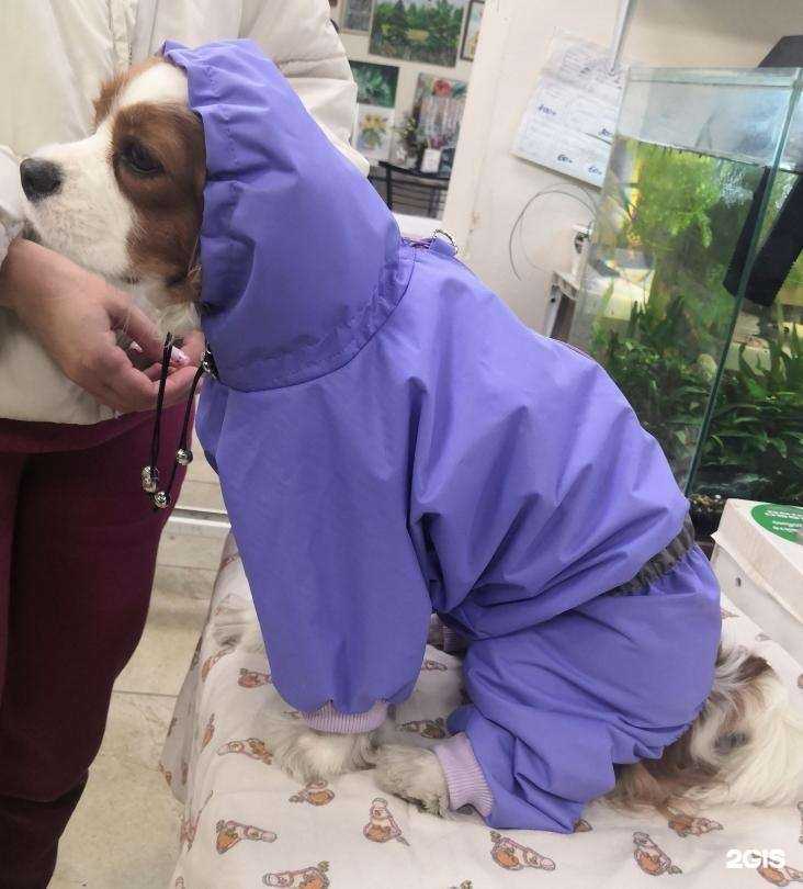 Отзывы на компанию Ателье в Новосибирске c фото