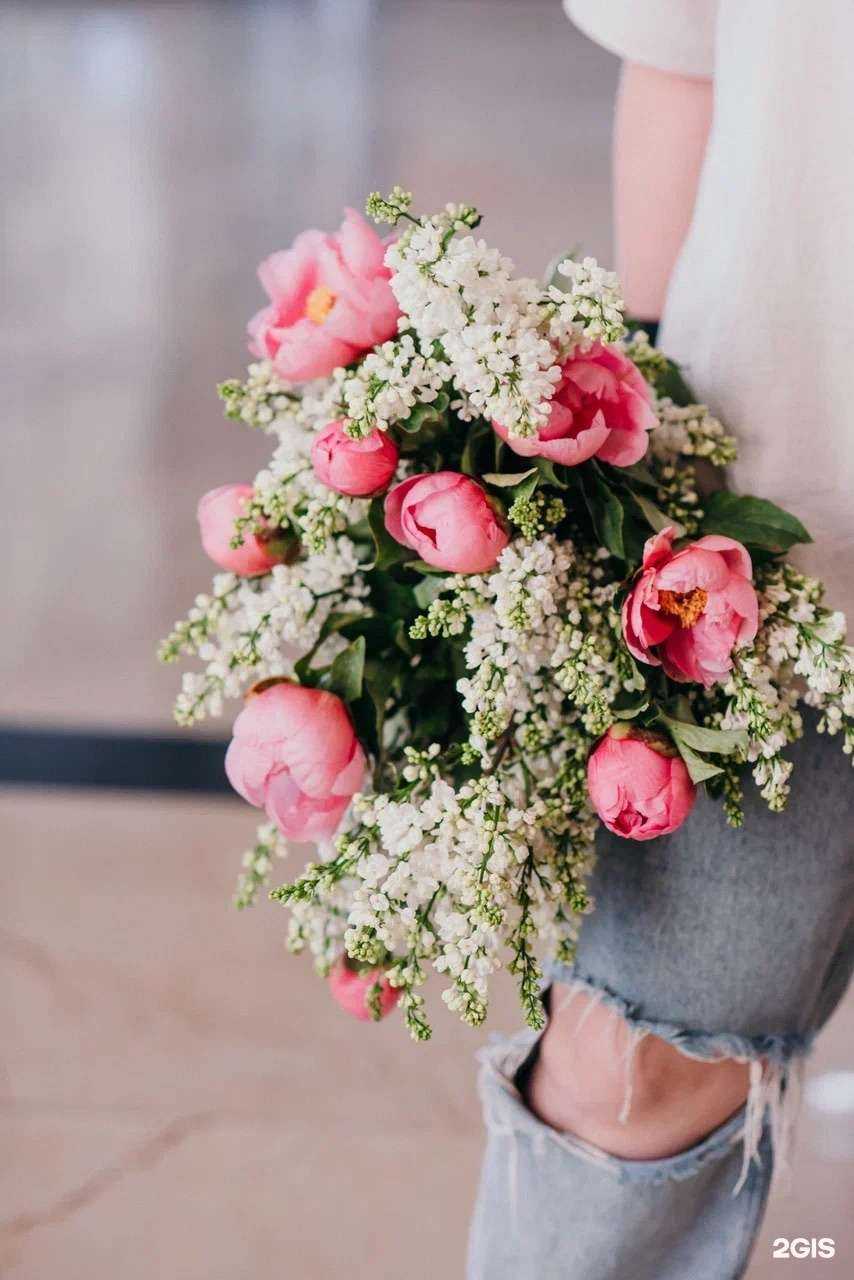 Отзывы на компанию Ветка в Иркутске c фото