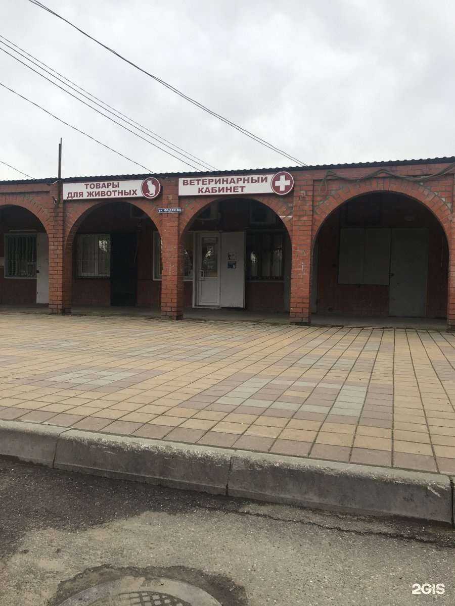 Отзывы на компанию Ветеринарная клиника в Краснодаре c фото - фотография 2 из 2