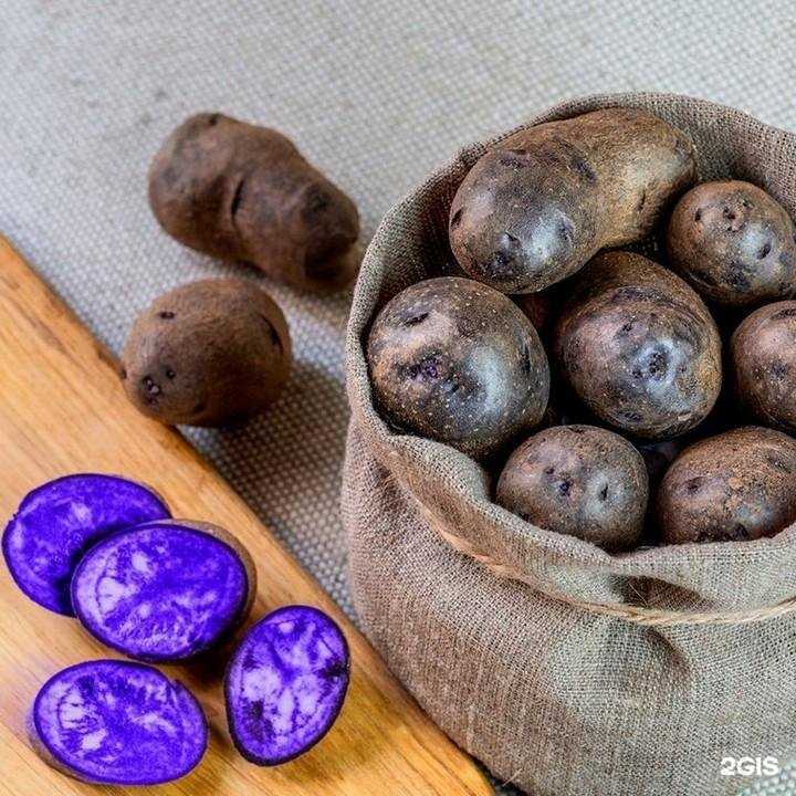 Отзывы на компанию Белагро в г. Саратов c фото