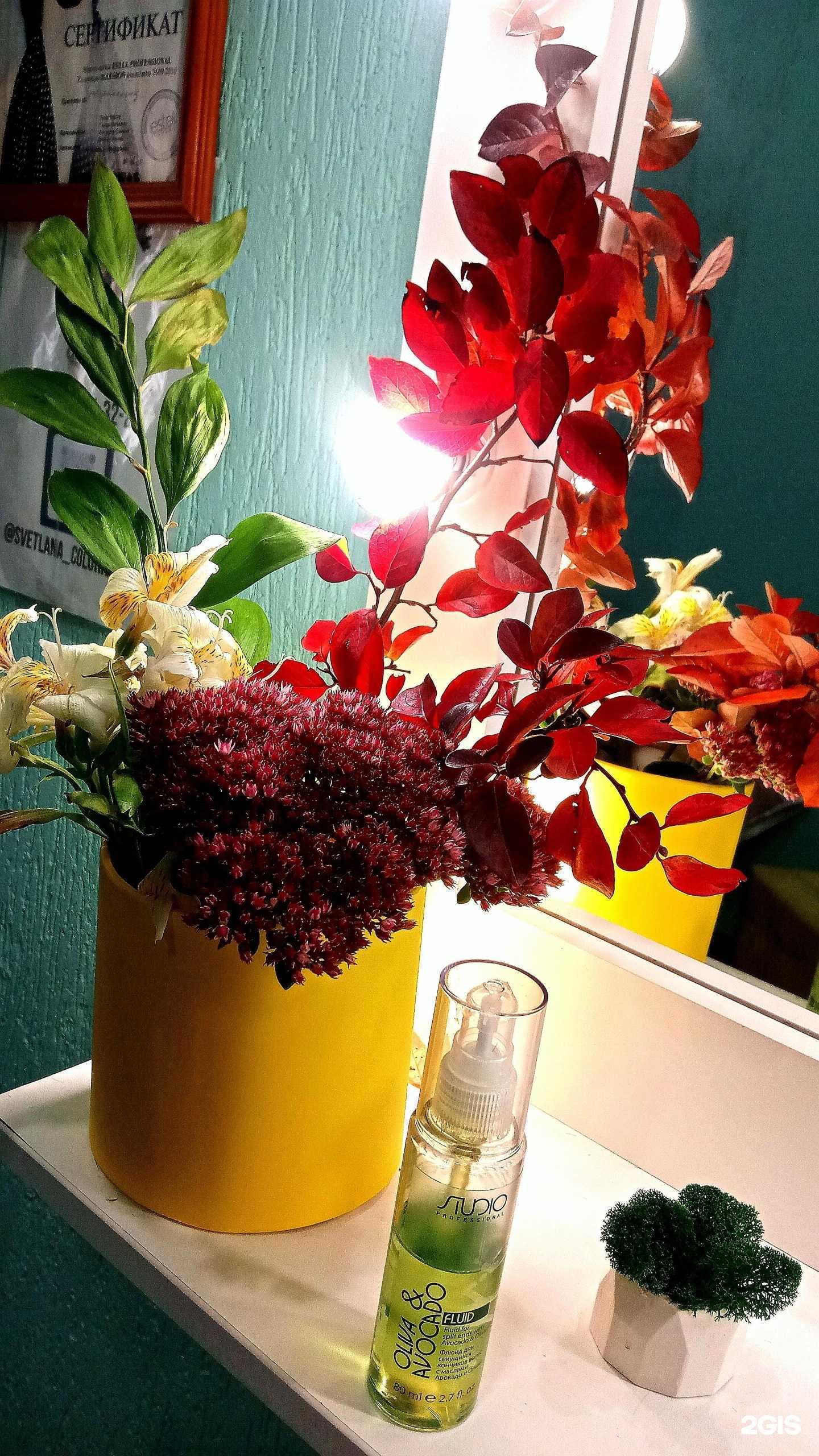 Отзывы на компанию Светлана в г. Саратов c фото