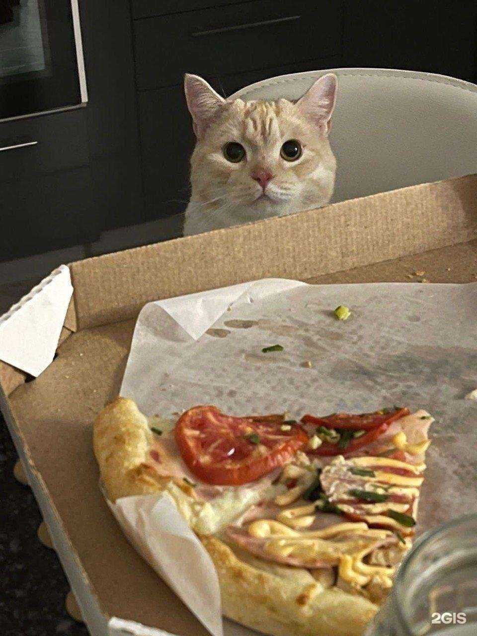 Отзывы на компанию Бабай. бро в Астрахани c фото