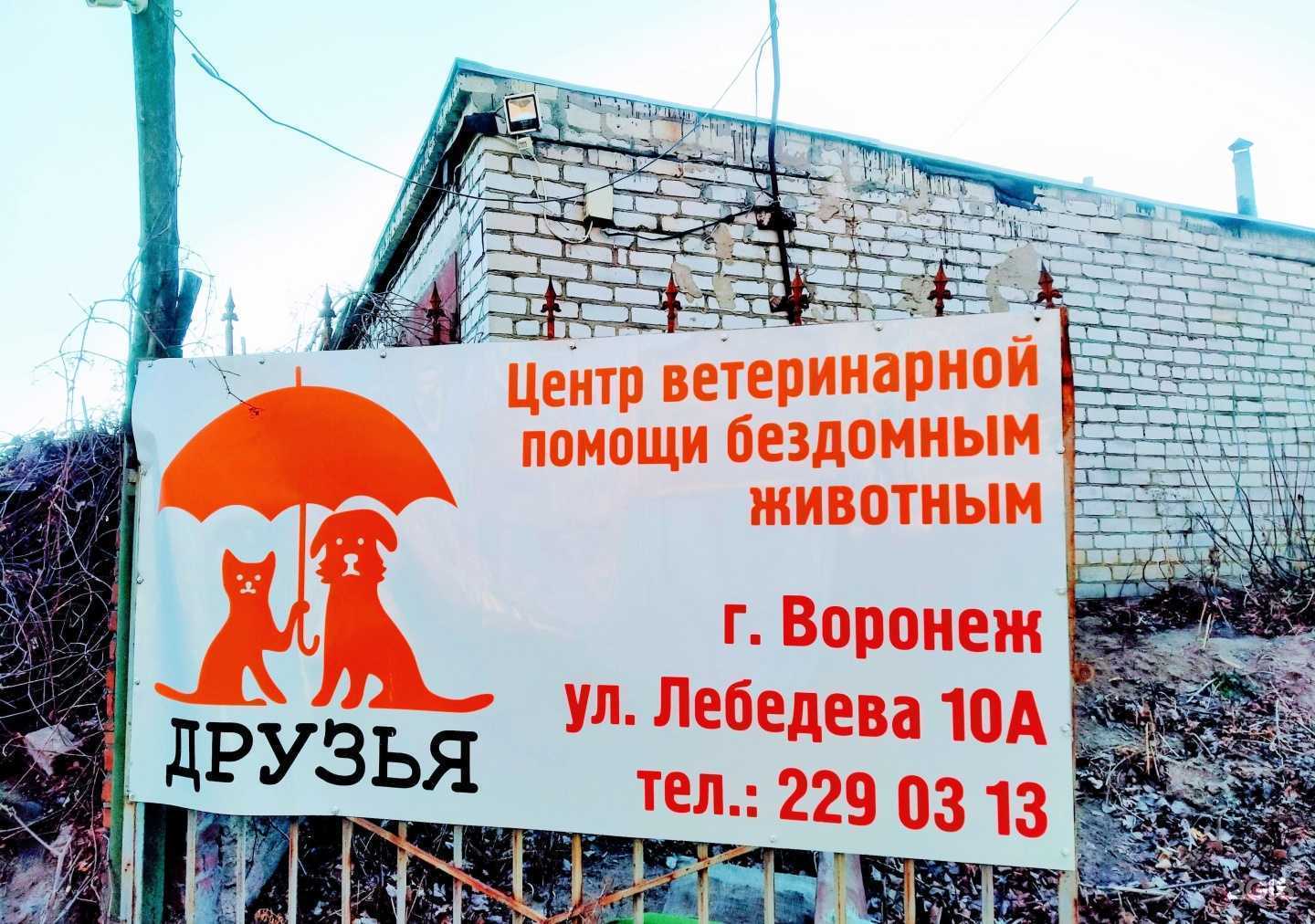 Отзывы на компанию Друзья в Воронеже c фото