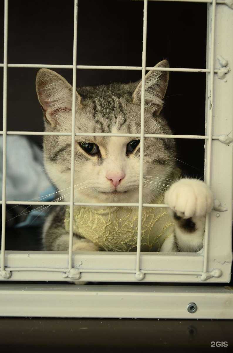 Отзывы на компанию Ветпульс в Екатеринбурге c фото