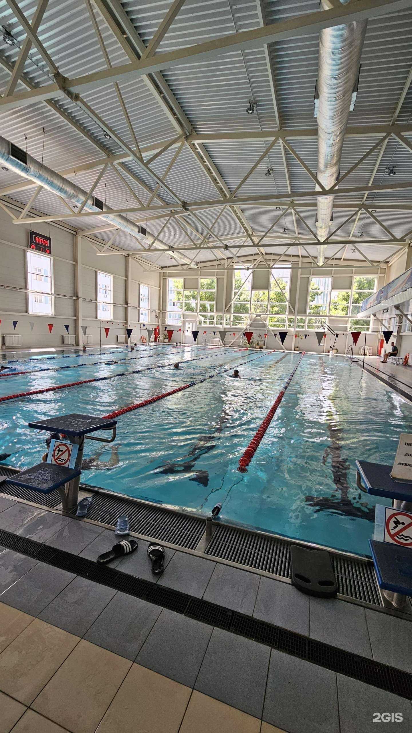 Отзывы на компанию Физкультурно-оздоровительный комплекс в г. Ростов-на-Дону c фото