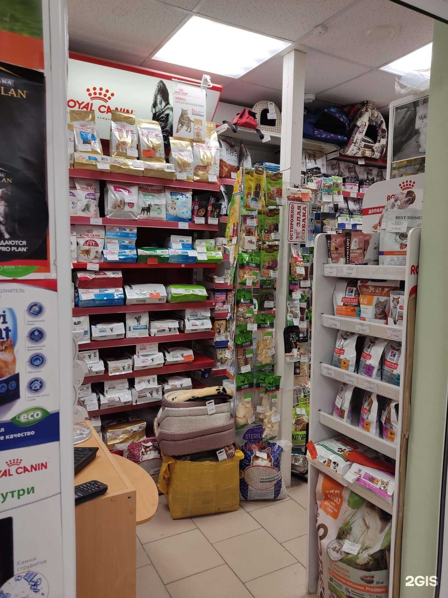 Отзывы на компанию Багира в г. Пермь c фото