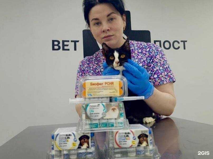 Отзывы на компанию ВетПост в Архангельске c фото