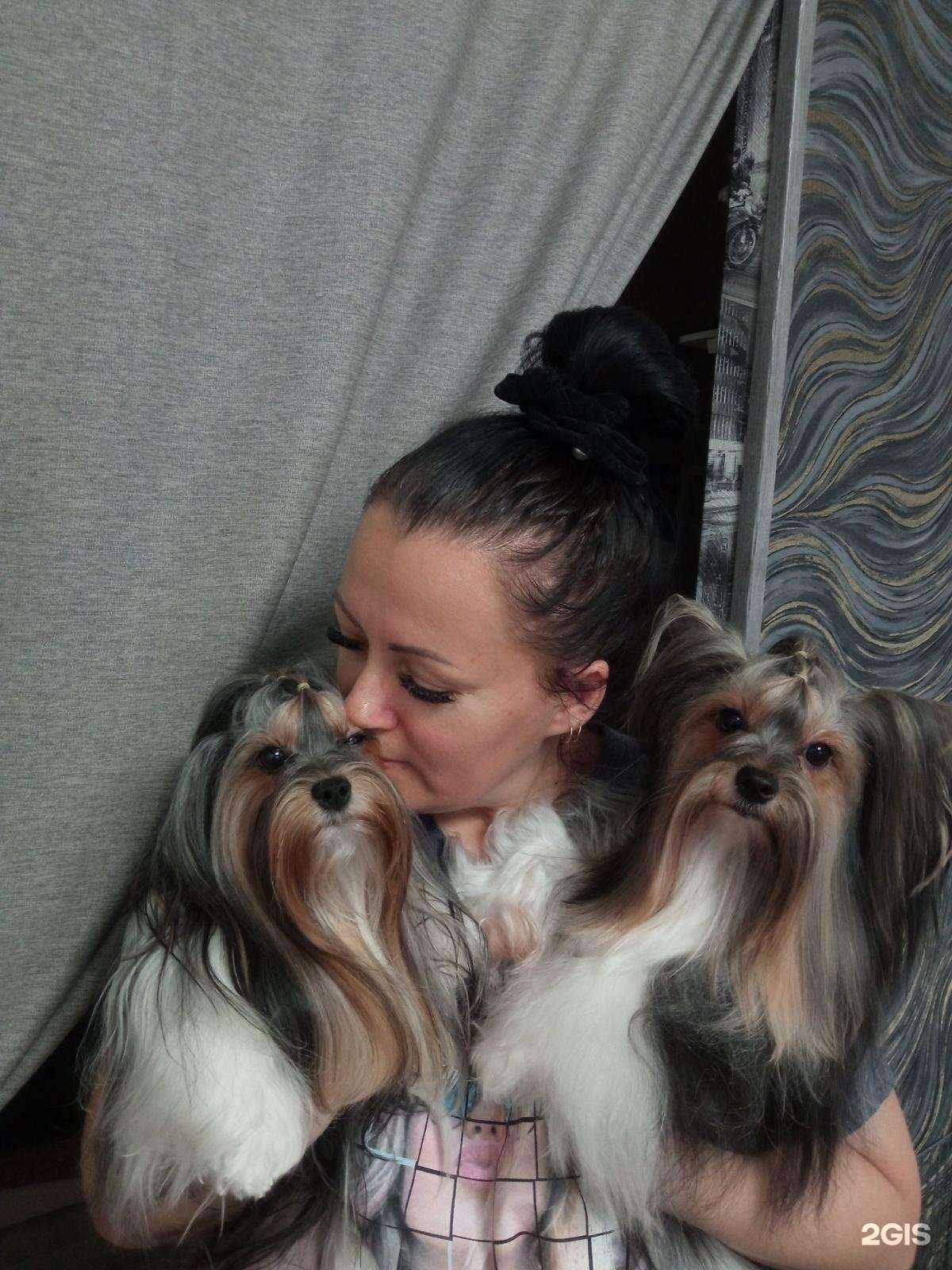 Отзывы на компанию ВетМаксПлюс в Тольятти c фото