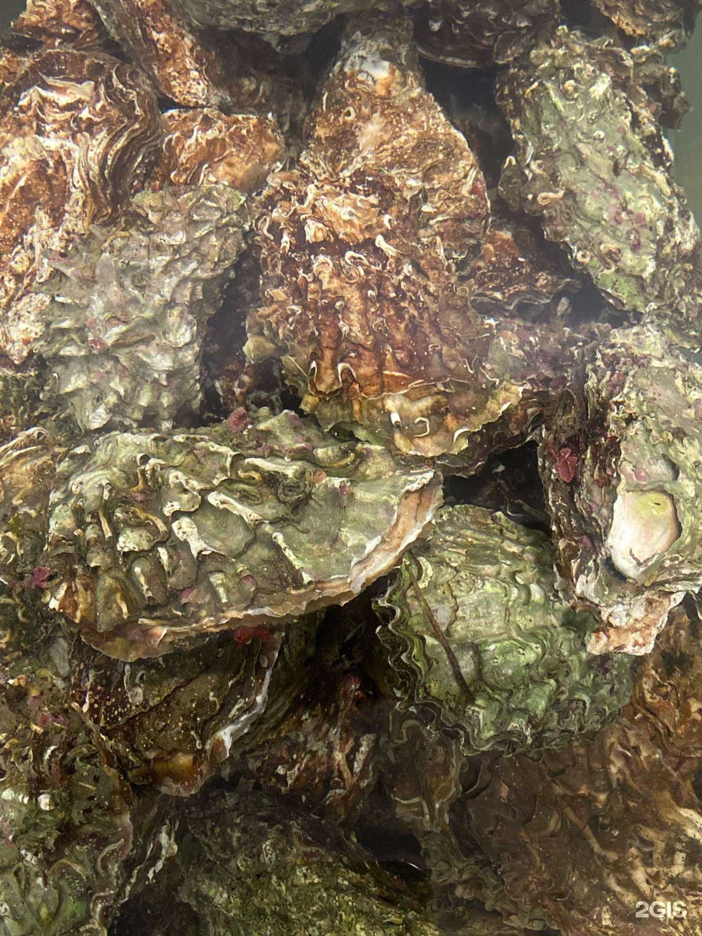 Отзывы на компанию Герой в г. Владивосток c фото