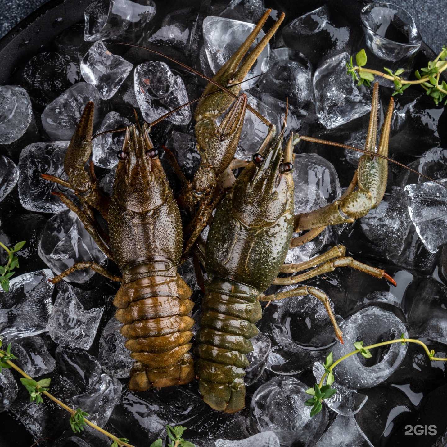 Отзывы на компанию ТАМ ГДЕ РАКИ в Казани c фото