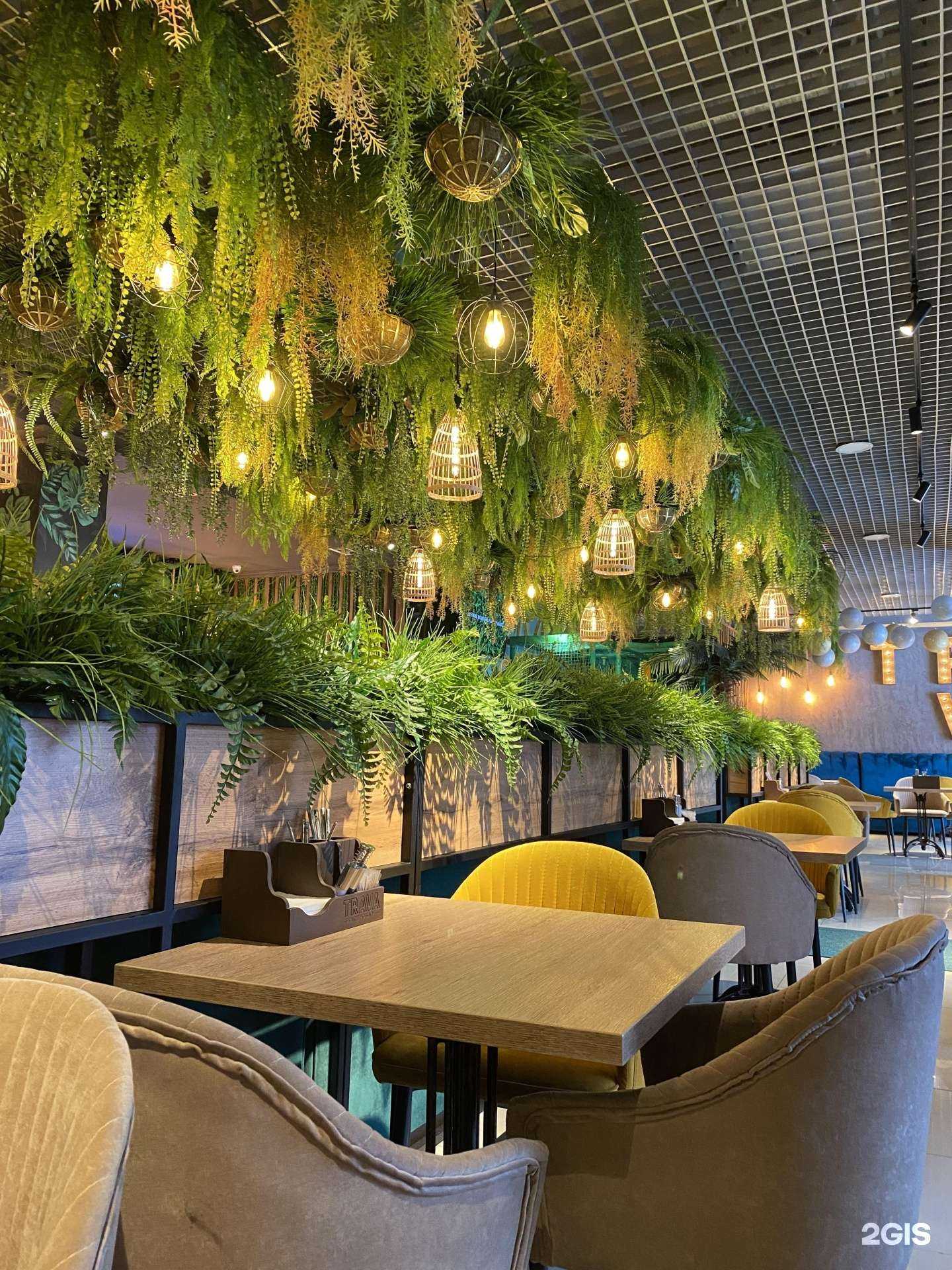 Отзывы на компанию Trava в г. Орск c фото