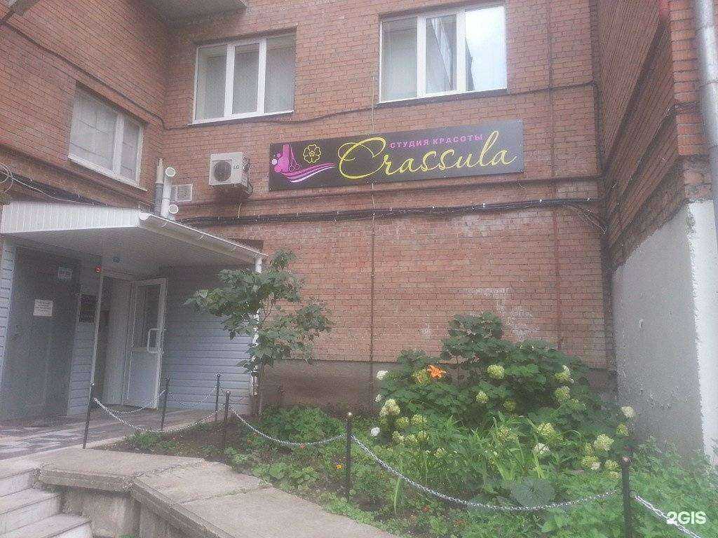 Отзывы на компанию Crassula в Тольятти c фото