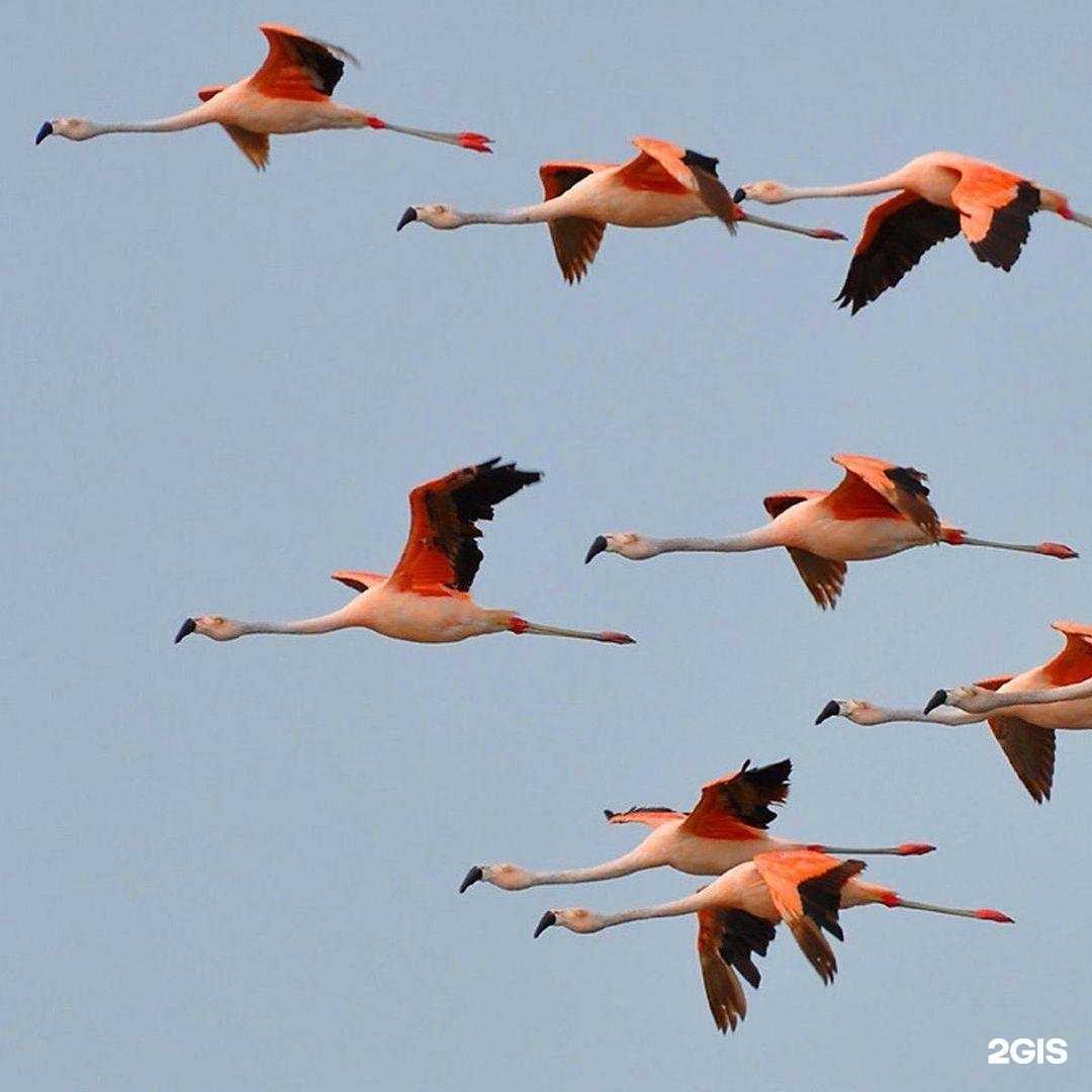Отзывы на компанию Utrain в Курске c фото