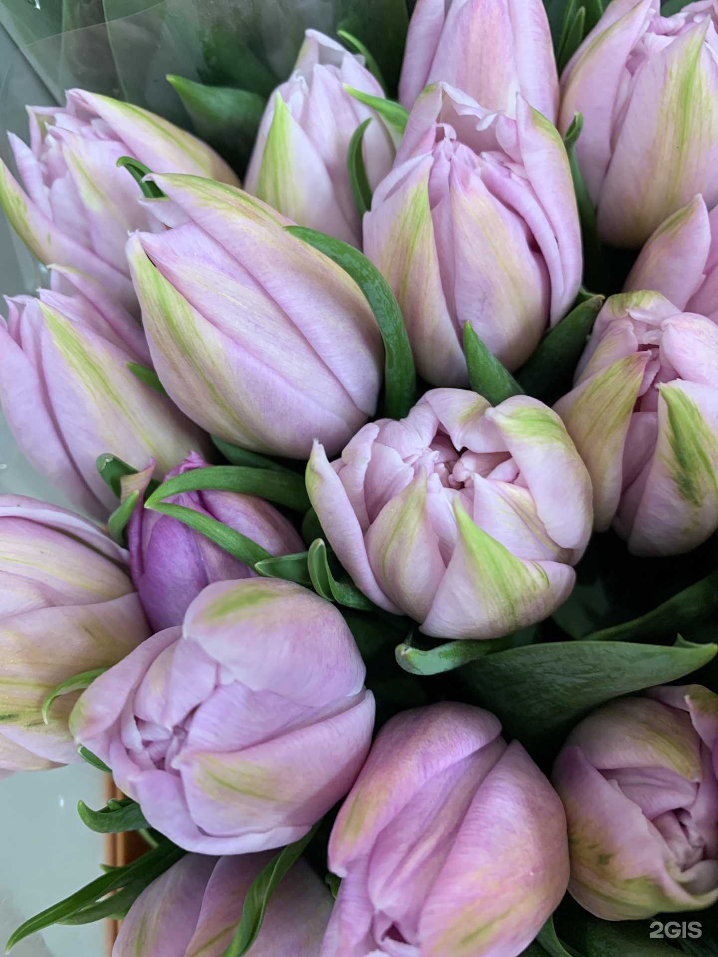 Отзывы на компанию Хлопок в г. Ставрополь c фото