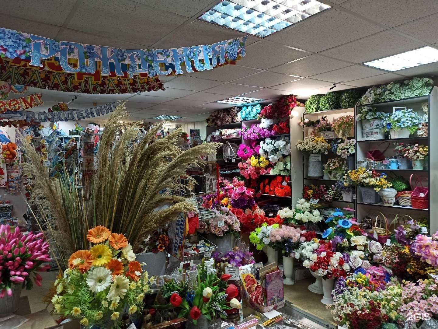 Отзывы на компанию Рута в г. Апатиты c фото