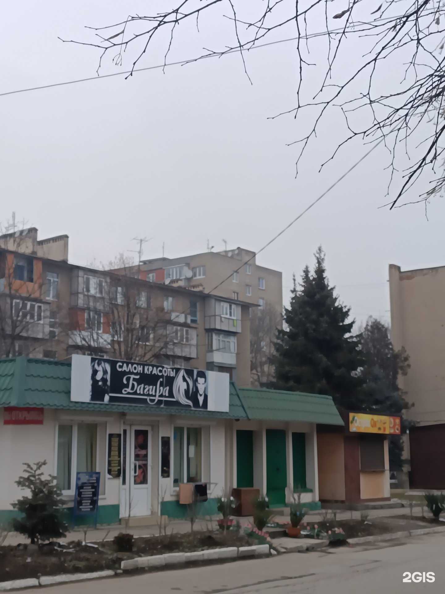 Отзывы на компанию Багира в Нальчике c фото