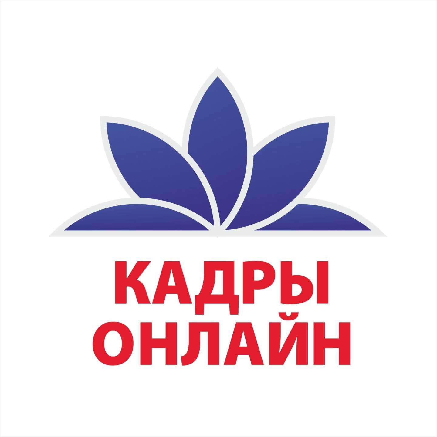 Отзывы на компанию Кадры-онлайн в Владивостоке c фото