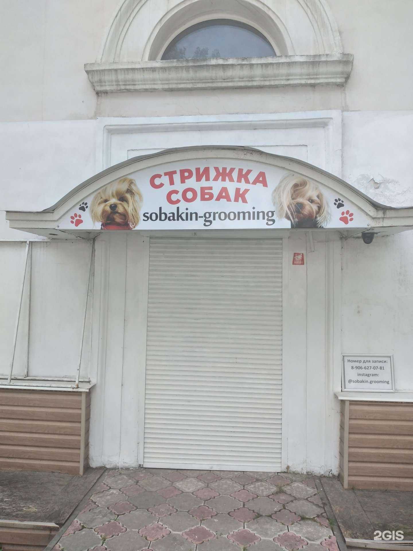 Отзывы на компанию Sobakin-grooming в г. Новомосковск c фото