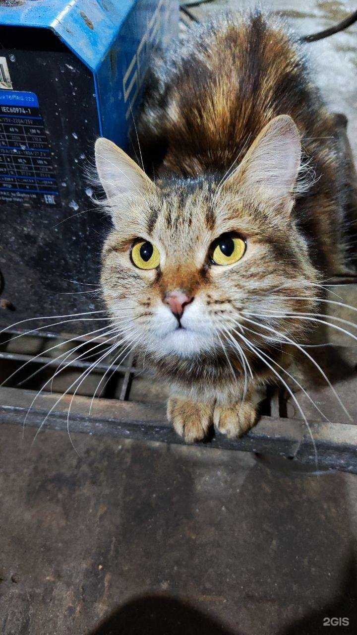 Отзывы на компанию Автобокс44 в Костроме c фото