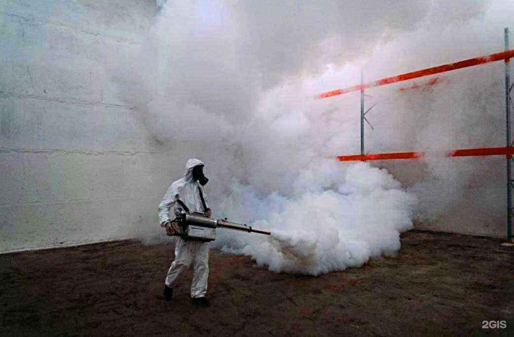 Отзывы на компанию ДезМастер в Кемерове c фото