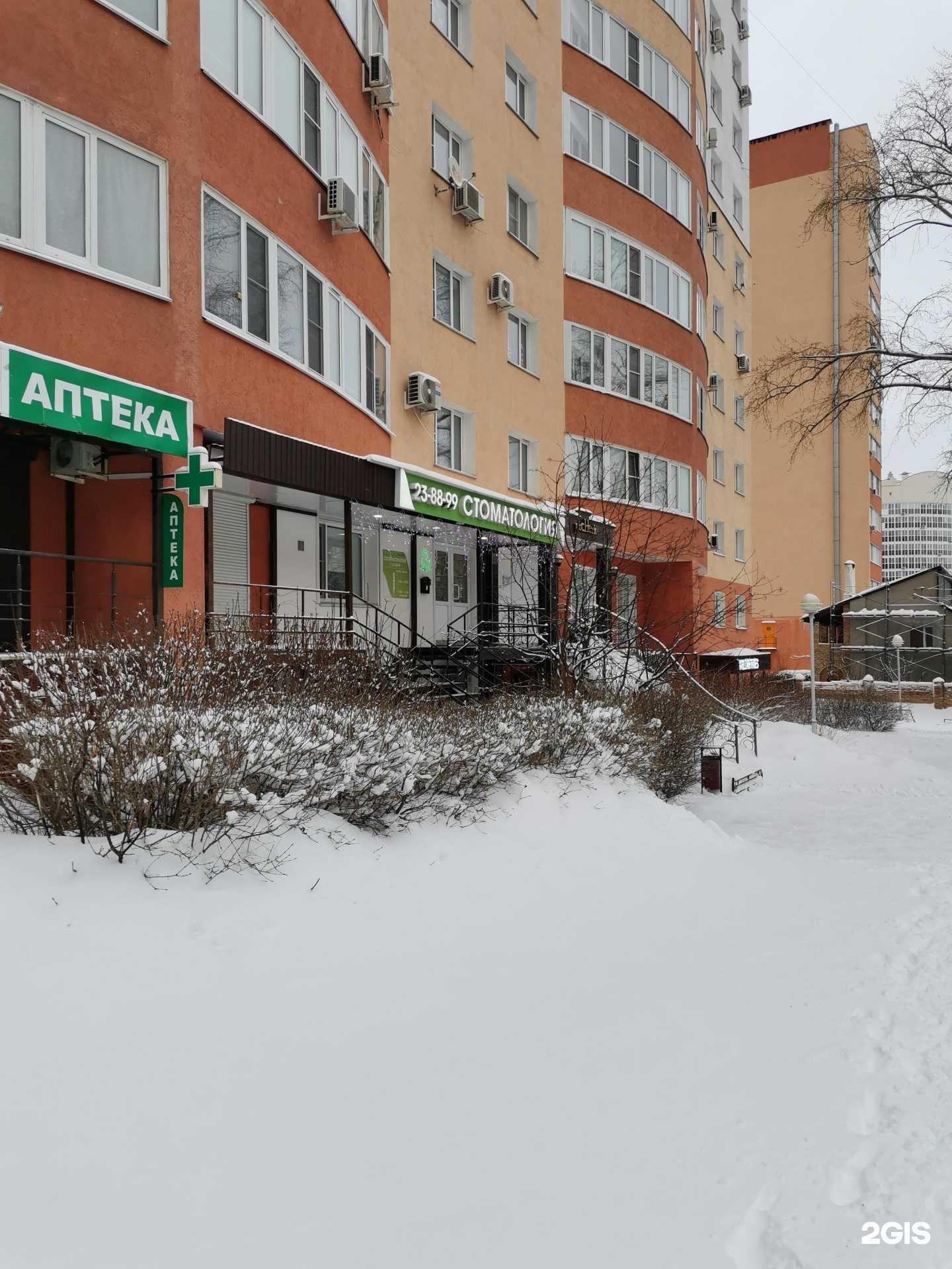 Отзывы на компанию Стоматология Алфимова в Пензе c фото