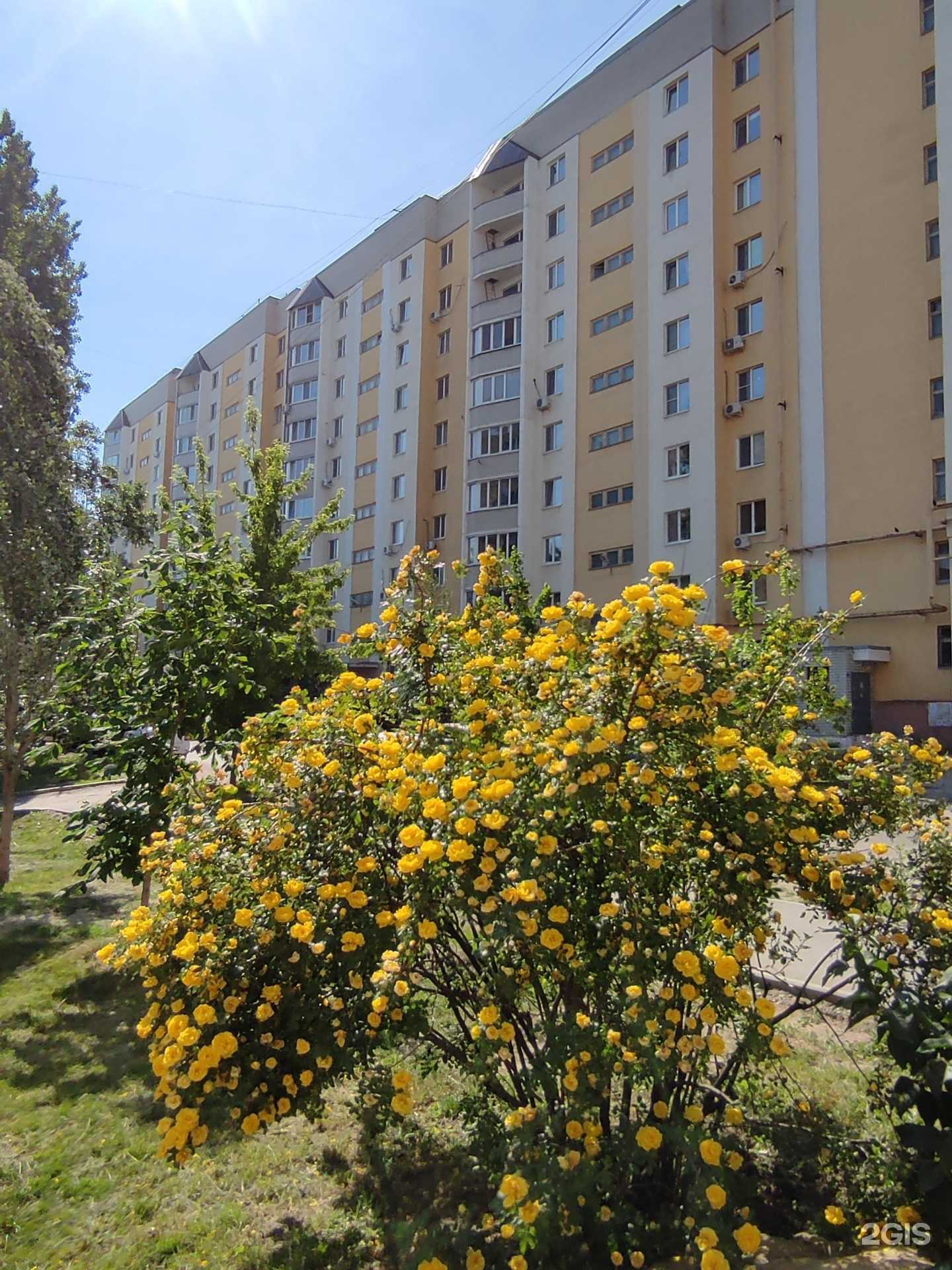 Отзывы на компанию The sfera в Саратове c фото