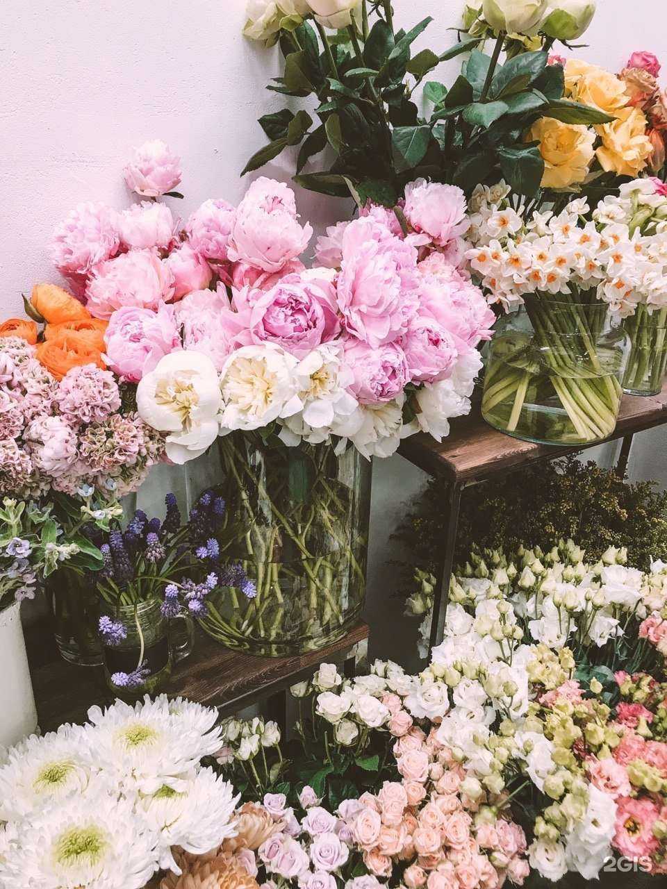 Отзывы на компанию Allen stewart konigsberg в г. Калининград c фото