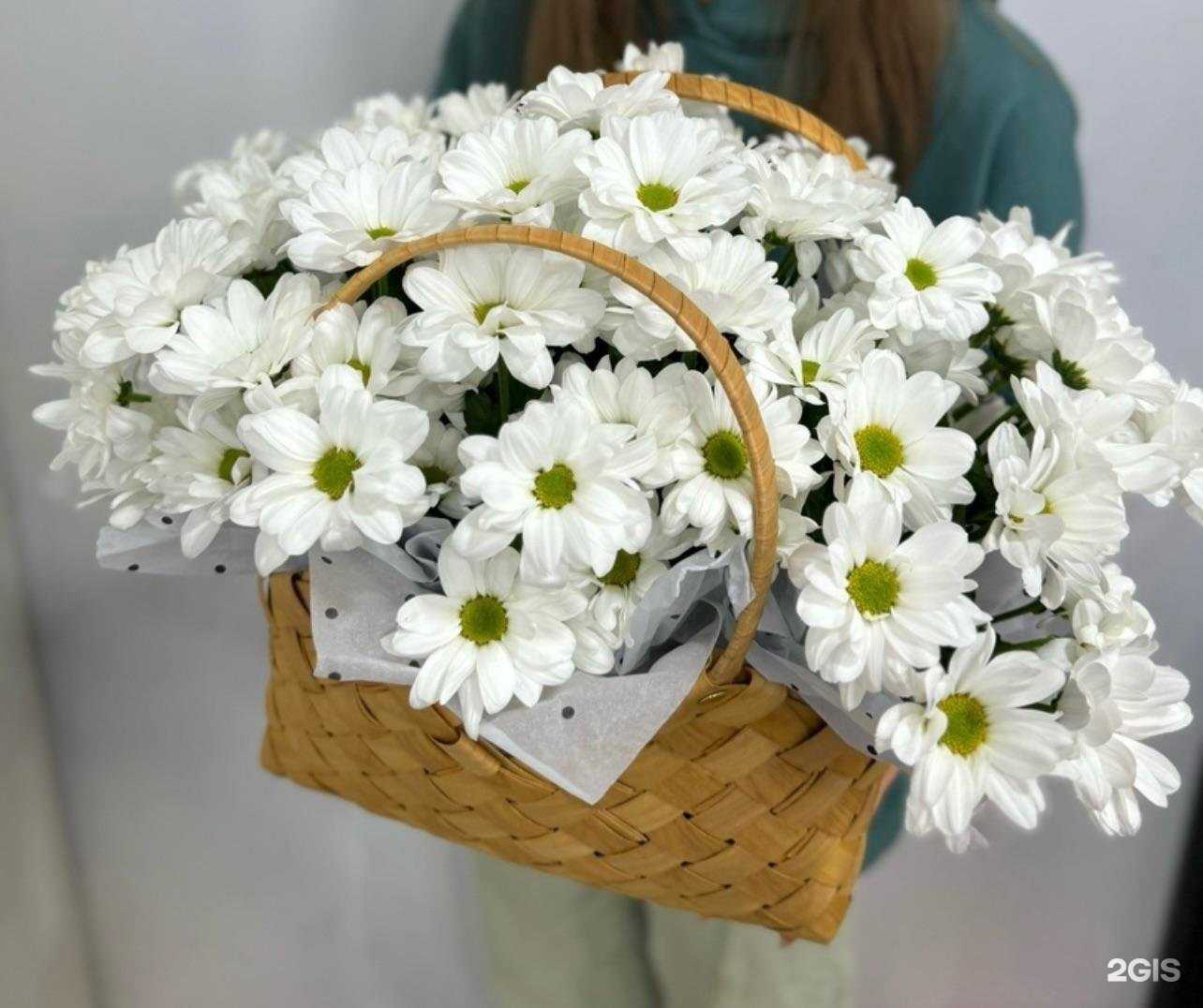 Отзывы на компанию Grace в г. Заволжье c фото