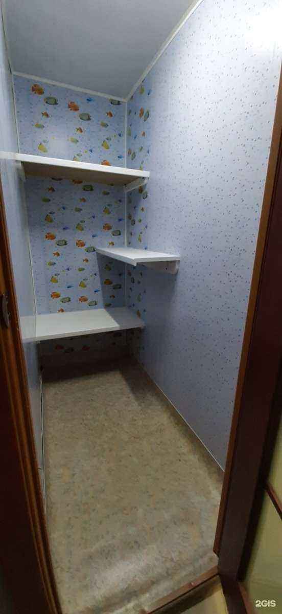 Отзывы на компанию КОТ И КРОЛИК в Красноярске c фото