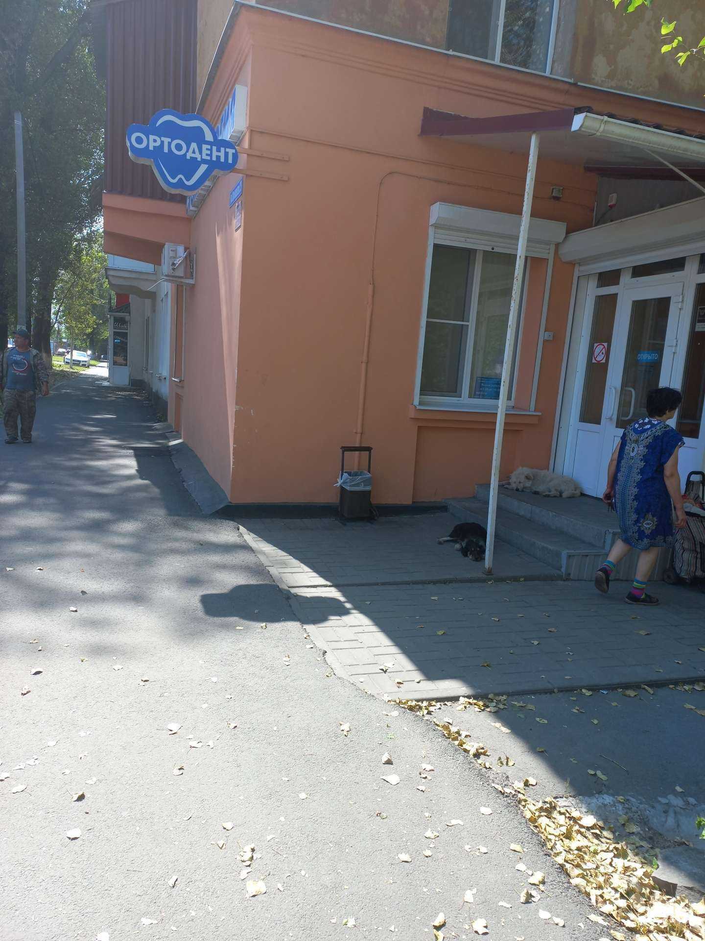 Отзывы на компанию Ортодент в г. Новошахтинск c фото