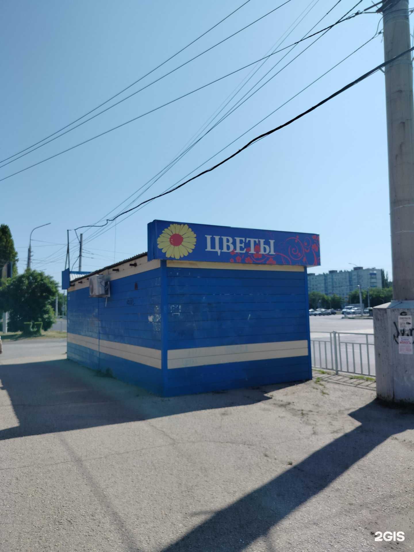 Отзывы на компанию Камелия в г. Балаково c фото