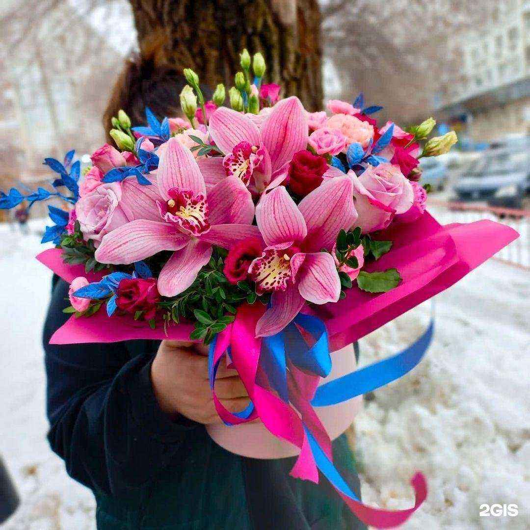 Отзывы на компанию Bona mente в г. Волгоград c фото