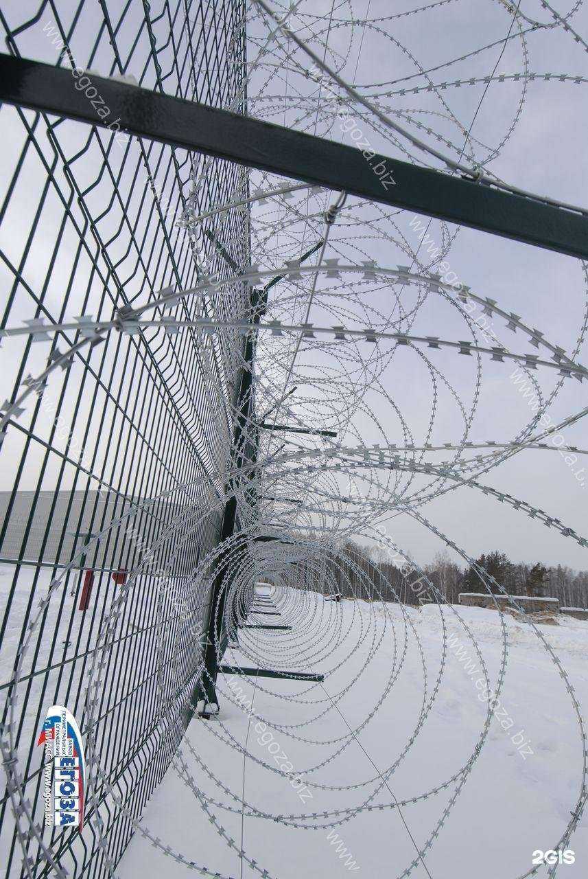 Отзывы на компанию Егоза в Челябинске c фото