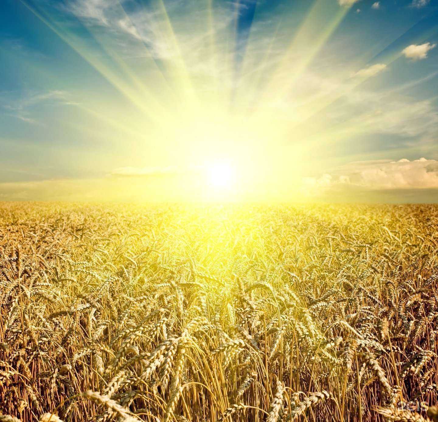 Отзывы на компанию Средняя общеобразовательная школа №5 в г. Буйнакск c фото